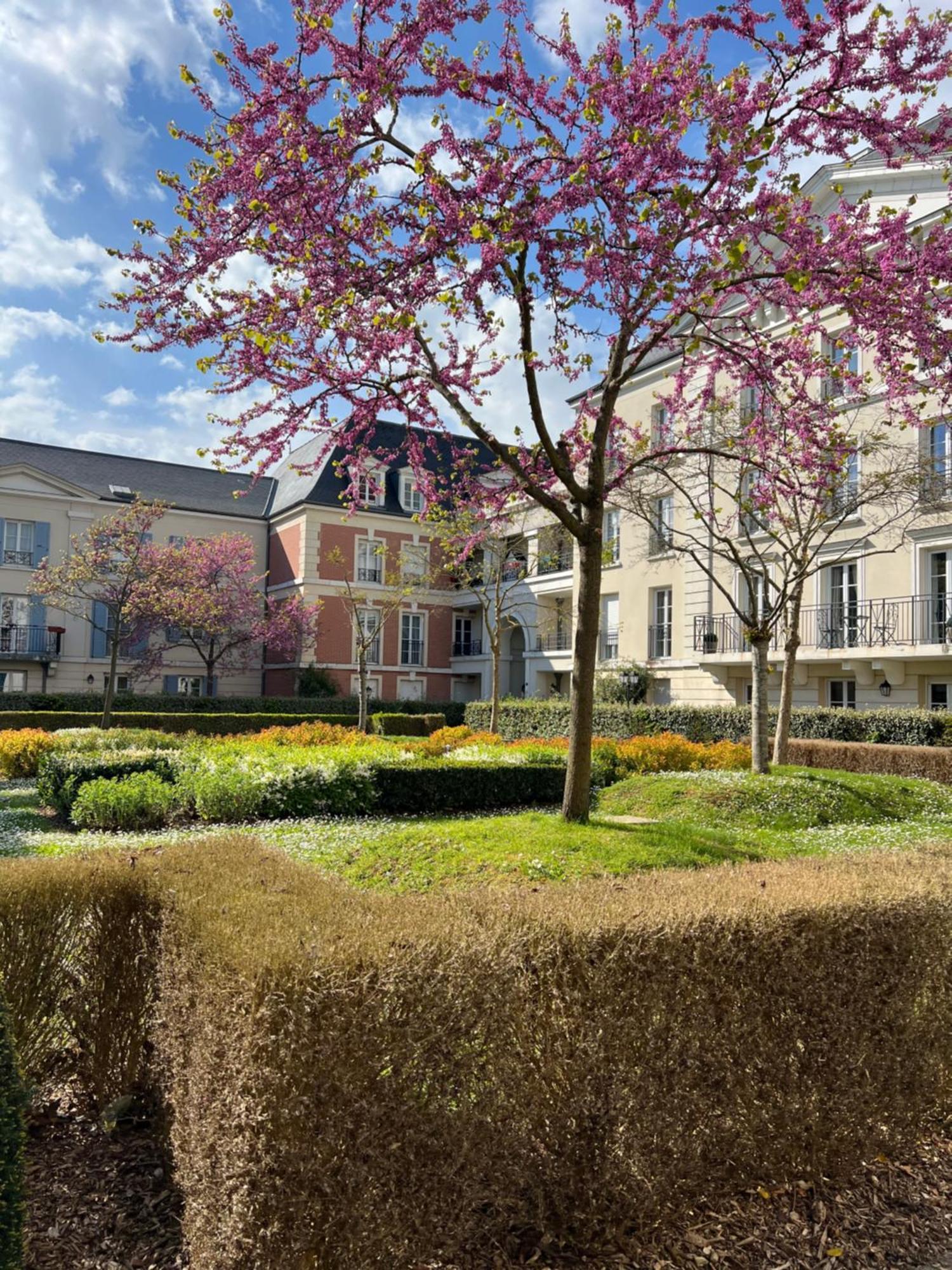 Appartement Disneyland Idealement Situe Serris Exterior photo